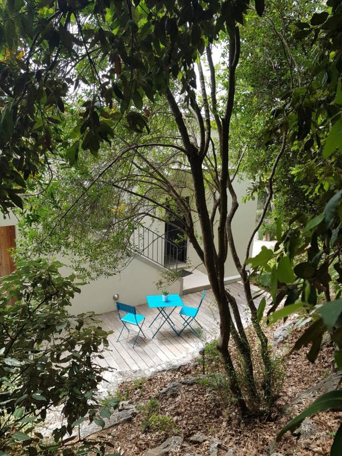 Eze Villa エクステリア 写真